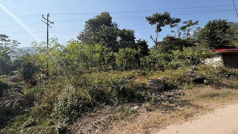 ₹90 Lac&nbsp;|&nbsp;20 decimal residential plot for sale  in mirik bunkulung near darjeeling