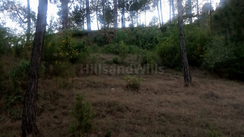 ₹1.20 Cr | 3 bigha commercial land  for sale in shoghi shimla