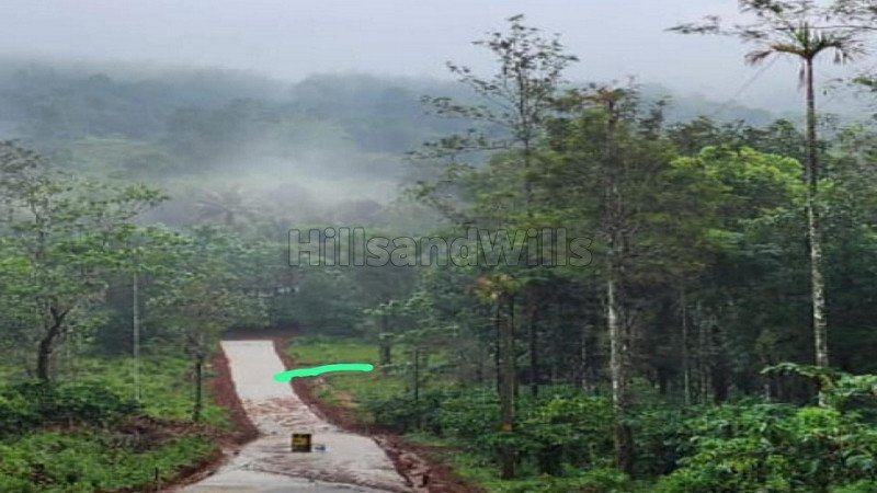 ₹17 Lac | 10 cents residential plot for sale  in chunda vythiri wayanad