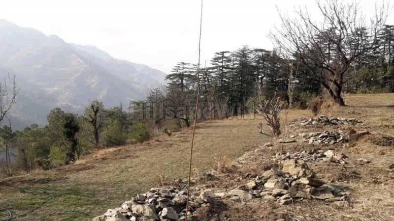 ₹7.50 Lac&nbsp;|&nbsp;10 bigha agriculture land for lease  in mashobra shimla
