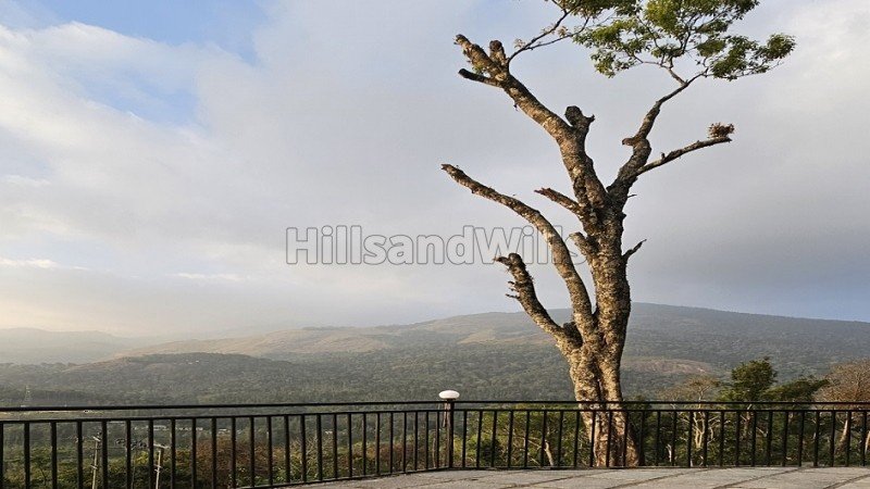 ₹1.30 Cr | 3bhk  premium cottage for sale  in poopara, munnar