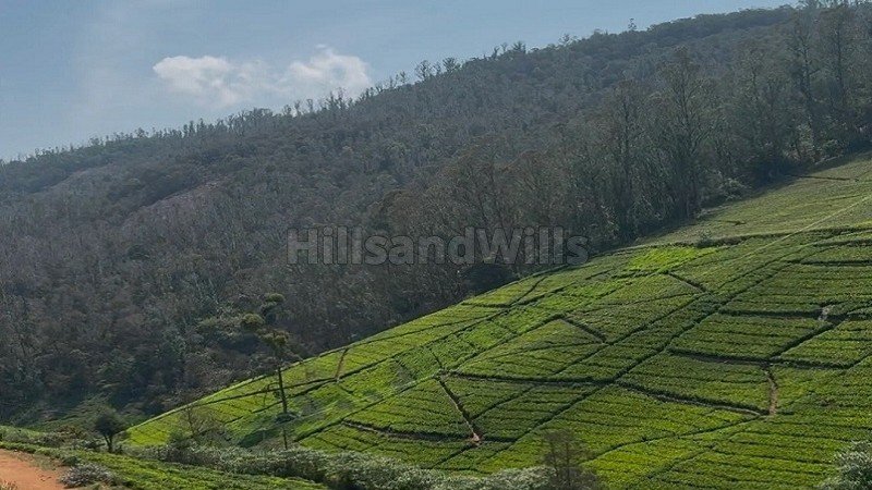 ₹66 Lac | 22 cents agriculture land for sale  in kattabettu kotagiri