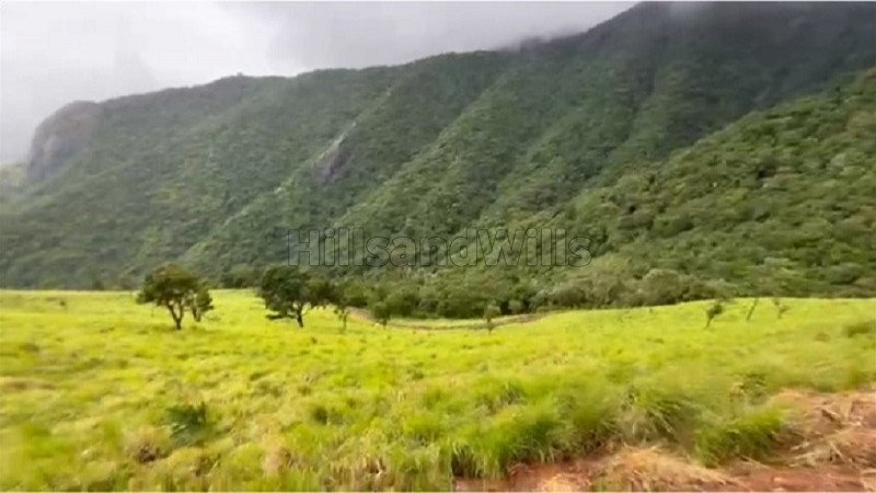 ₹550 Cr | 550 acres coffee estate for sale  in mekkarai village courtallam