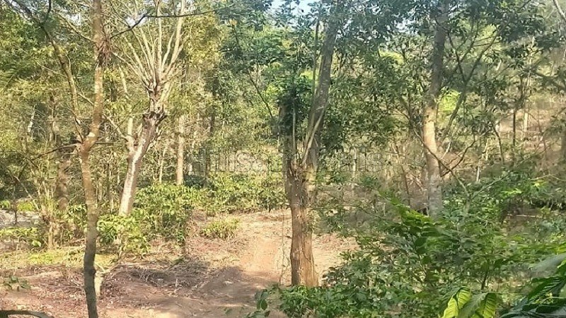 ₹20 Cr | 50 acres coffee estate for sale  in somwarpet coorg