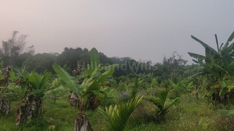₹2 Cr | 2bhk farm house for sale  in sringeri chikmagalur