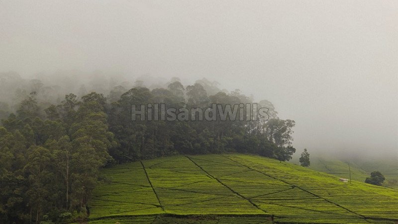 ₹60 Lac | 8712 sq.ft. residential plot for sale  in kattabettu junction kotagiri