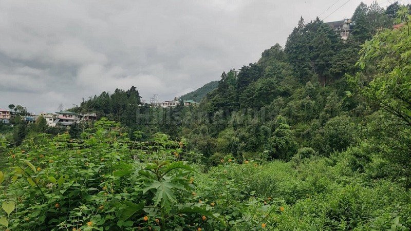₹22.50 Cr | 7 bigha agriculture land for sale  in bhatta fall mussoorie