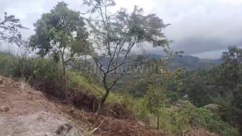 ₹2.50 Cr | 10bhk cottage for sale  in santhanpara munnar