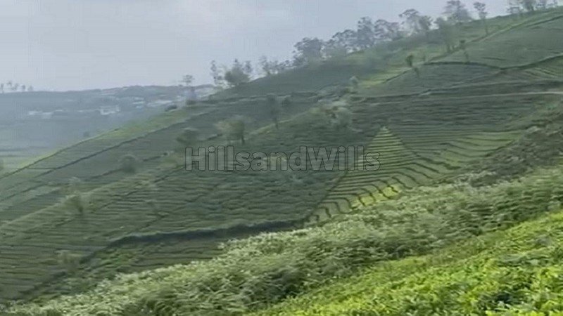 ₹3 Cr | 3 acres tea estate for sale  in yedakkad ooty