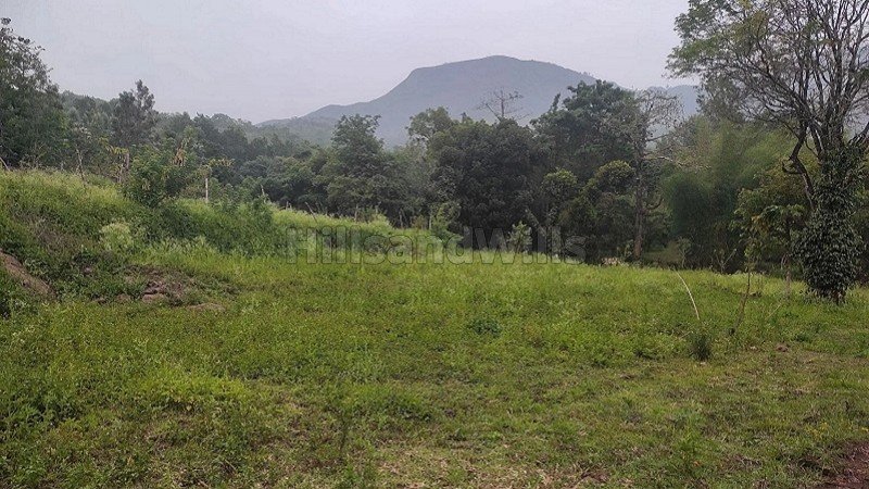 ₹1.55 Cr | 5 acres agriculture land for sale  in pallangi kodaikanal