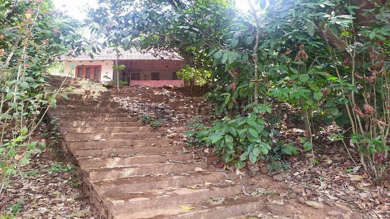 ₹20 Lac | 3bhk farm house for sale  in mananthavady wayanad