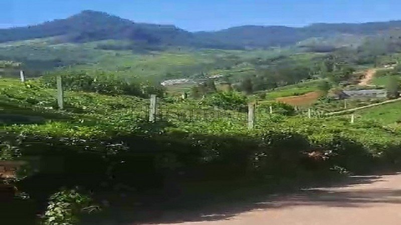 ₹2.12 Cr&nbsp;|&nbsp;1.25 acres  tea garden land for sale  in kanacombai kotagiri