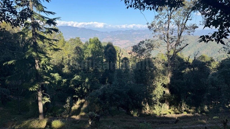 ₹75 Lac | 750 sq.meter residential plot for sale  in paudhar almora