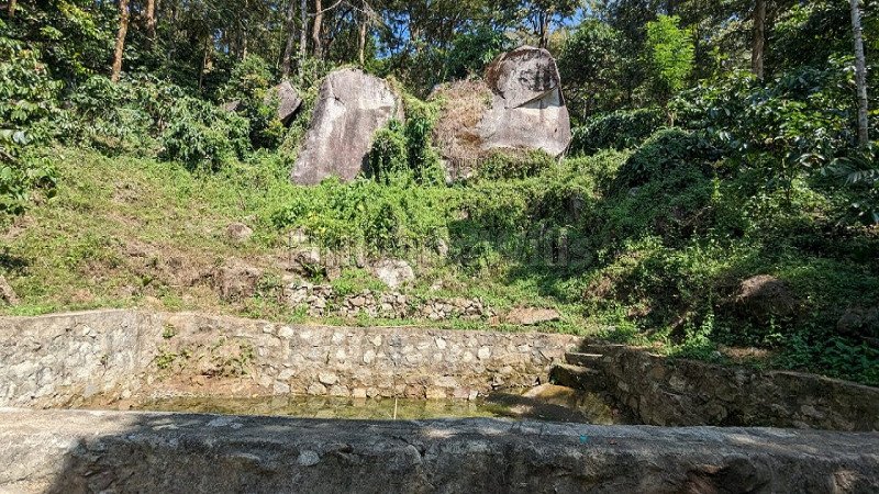 ₹10 Cr | 10 acres coffee estate for sale  in kalpettaa wayanad
