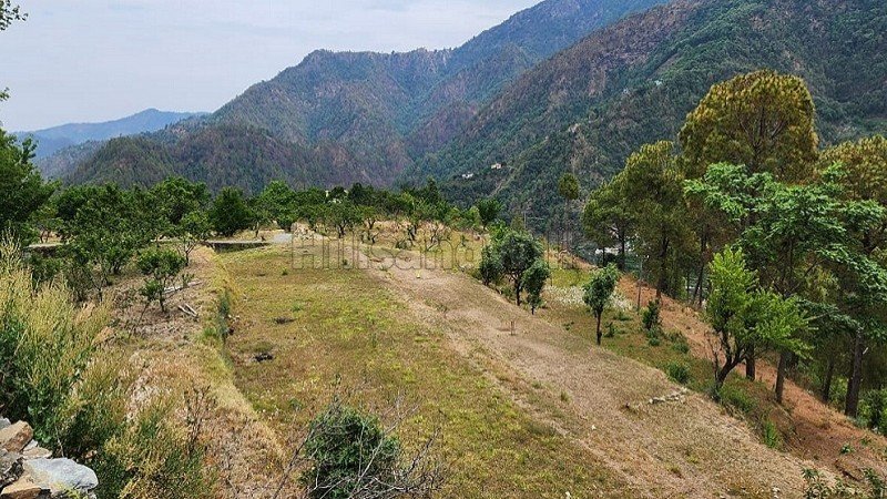 ₹25 Lac | 75 nali commerical land for sale  in talla ramgarh near nainital