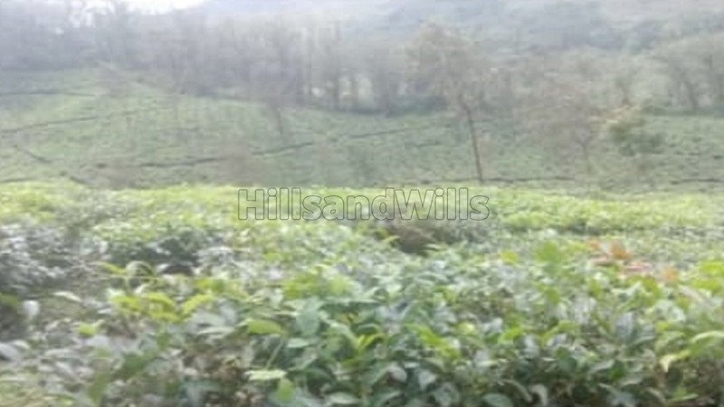 ₹55 Lac | 2 acres agriculture land for sale  in elapara idukki