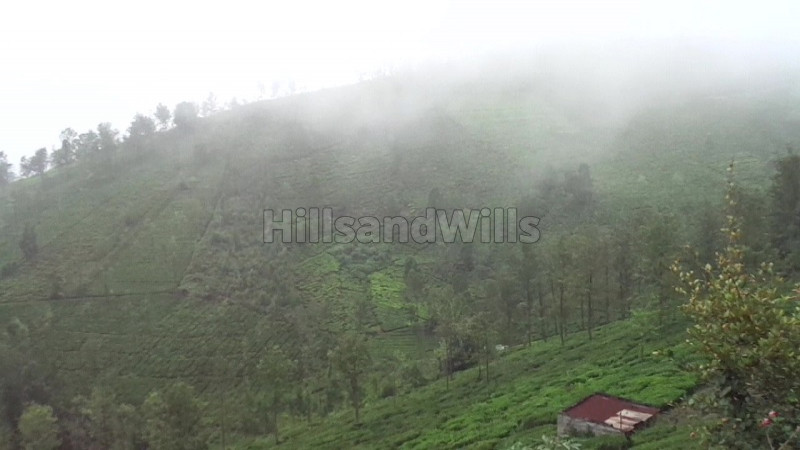 ₹1.95 Cr | 3 acres Agriculture Land For Sale in Hubbathalai Coonoor