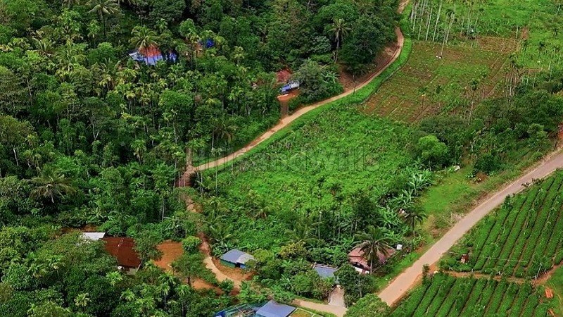 ₹1.10 Cr | 85 cents residential plot for sale  in manthavady wayanad