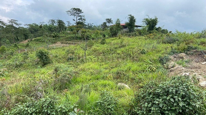 ₹1.50 Cr | 21000 sq.ft. agriculture land for sale  in kalimpong darjeeling