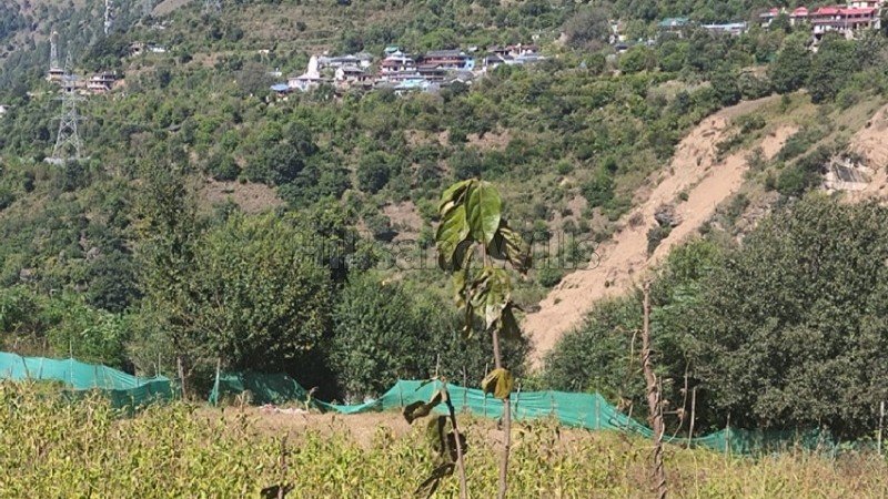 ₹40 Lac | 8712 sq.ft. agriculture land for sale in aut kullu-manali