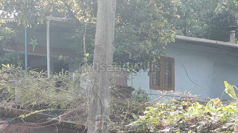 ₹60 Lac | 4bhk independent house for sale  in upputhara idukki