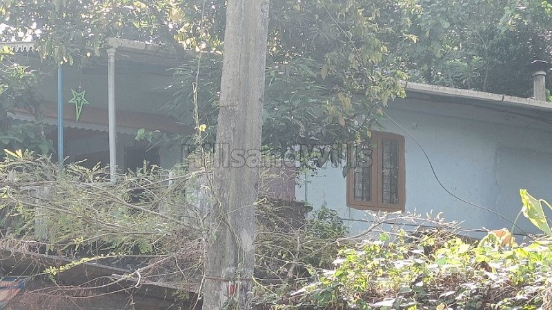 ₹60 Lac | 4bhk independent house for sale in upputhara idukki