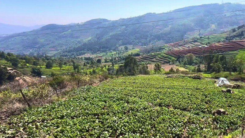 ₹70 Lac | 64 cents agriculture land for sale  in denadukombai ooty