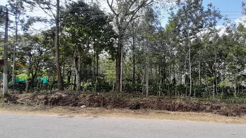 ₹96.25 Lac | 77 cents agriculture land for sale in somwarpet coorg