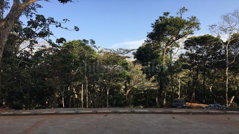 ₹4.40 Cr | 14.5 acres coffee estate with bungalow for sale  in madikeri coorg
