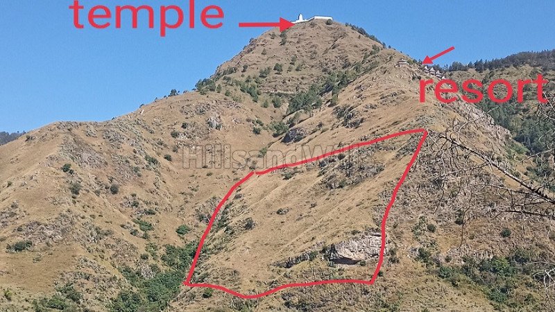 ₹2 Cr | 30 bigha residential plot for sale  in chail solan