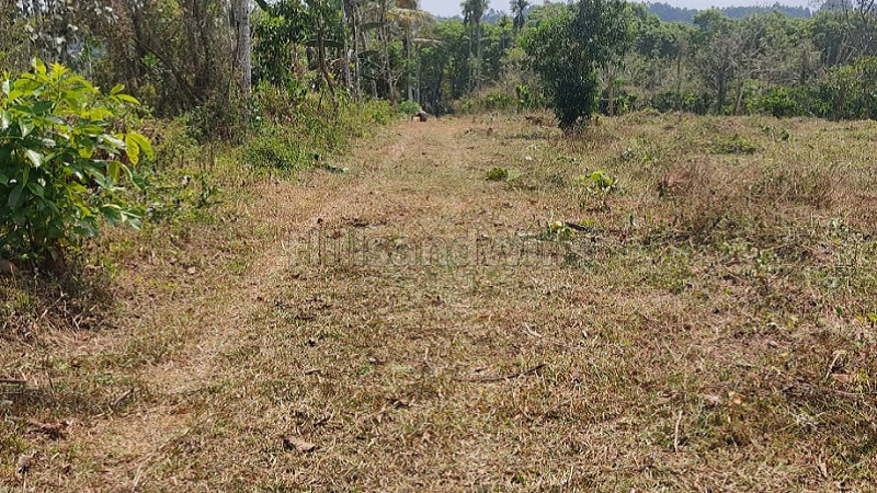₹4 Lac | 10 cents residential plot for sale in koleri wayanad