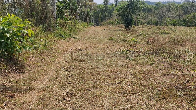 ₹4 Lac | 10 cents residential plot for sale  in koleri wayanad