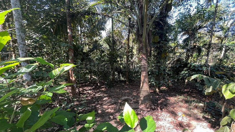 ₹4.50 Cr | 2 acres residential plot for sale in sulthan bathery wayanad