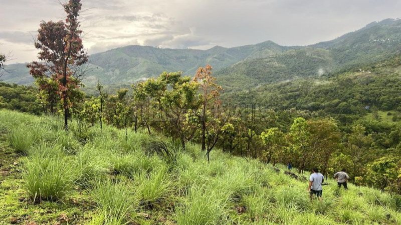 ₹33 Lac | 12 cents agriculture land for sale  in perummalmalai kodaikanal