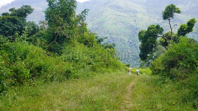 ₹2.24 Cr | 7 acres agriculture land for sale  in vadakavunji kodaikanal