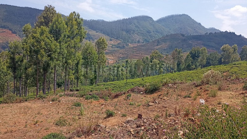 ₹22.50 Lac | 6556 sq.ft. Residential Plot For Sale in Anikorai Ooty