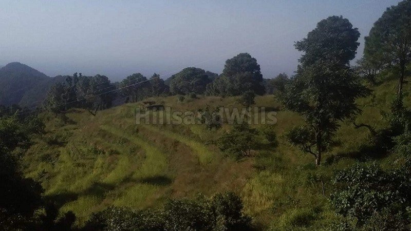 ₹1.60 Cr&nbsp;|&nbsp;20 nali agriculture land for sale  in mangoli nainital