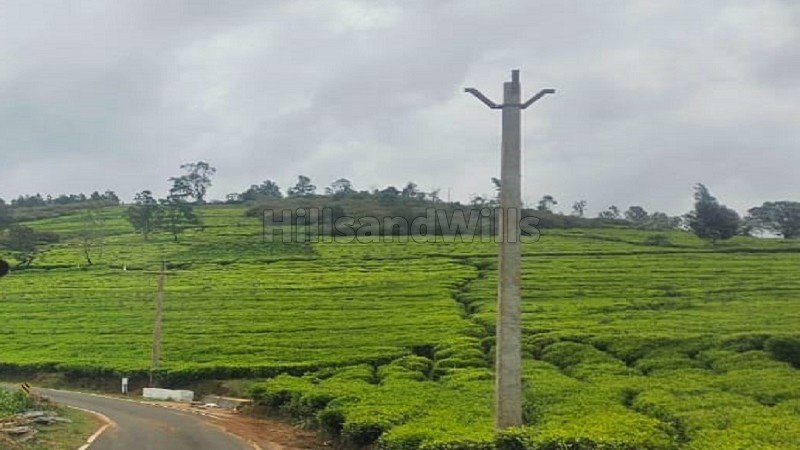 ₹47.50 Lac | 19 cents residential plot for sale  between kotagiri and ooty