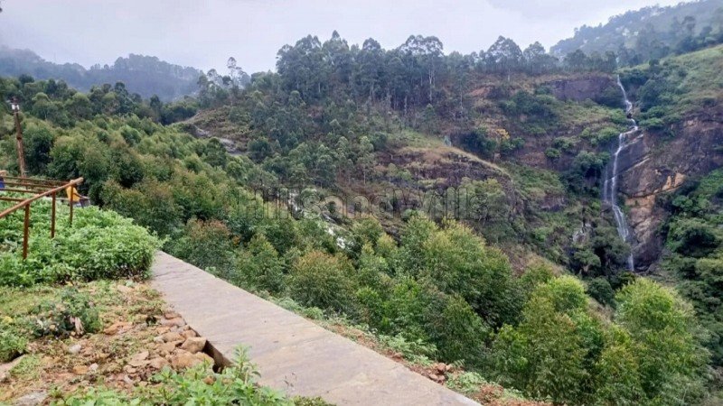 ₹75 Lac | 25 cents agriculture land for sale  in vilpatti kodaikanal