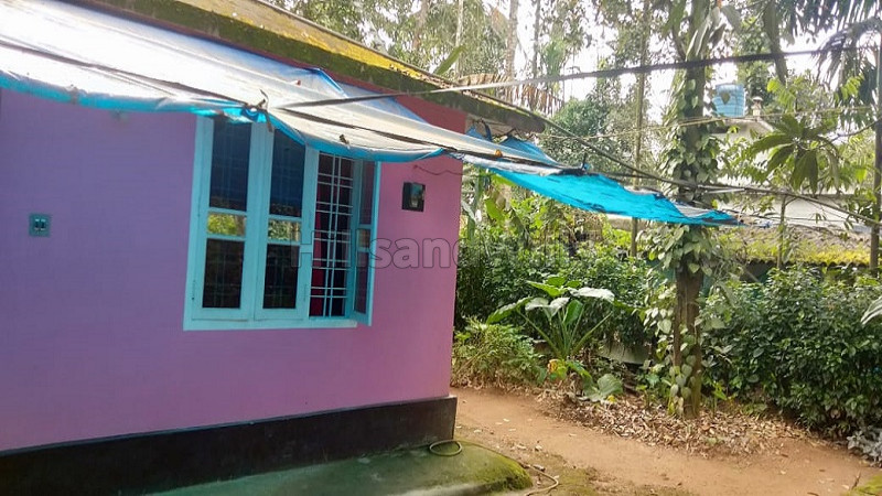 ₹30 Lac | 3BHK Farm House For Sale in Mechana Wayanad