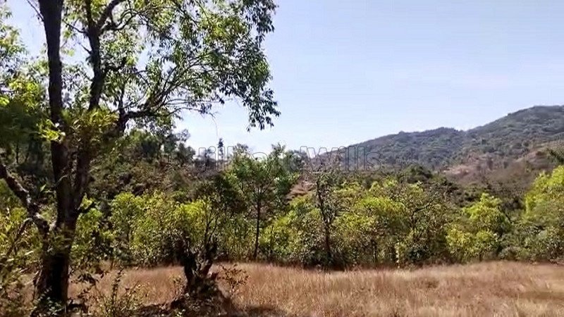 ₹35 Lac | 2 acres agriculture land for sale  in birmani mahabaleshwar