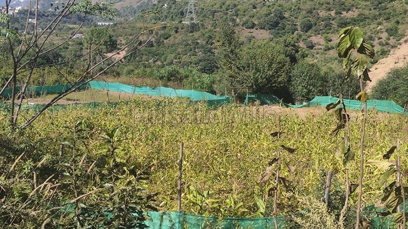 ₹40 Lac | 8712 sq.ft. agriculture land for sale in aut kullu-manali
