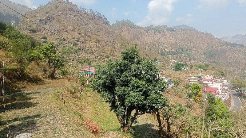 ₹28 Lac | 5 nali residential plot for sale  in khurpatal nainital