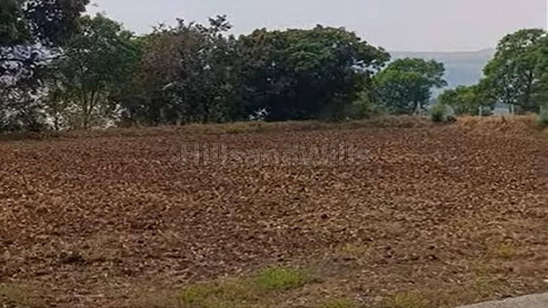 ₹30 Lac | 0.5 acres agriculture land for sale in ghoti igatpuri