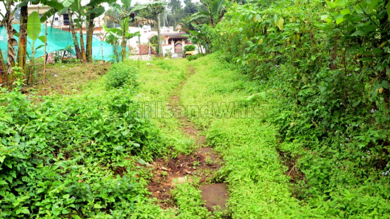 ₹50 Lac | 1.5 acres agriculture land for sale in mangalacombu kodaikanal