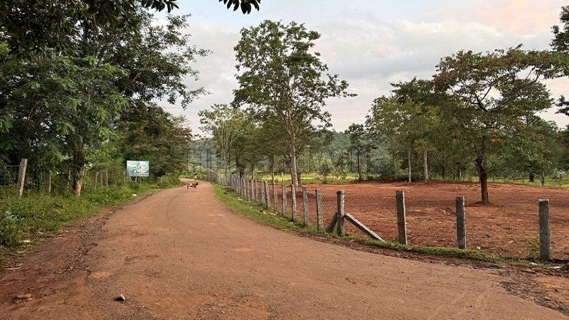₹2.16 Cr | 54 cents  scenic view land for sale  in kottur village yelagiri