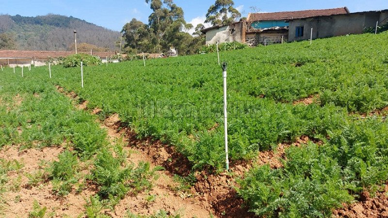 ₹3 Cr | 33 cents agriculture land for sale  in muthorai palada ooty