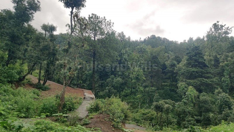 ₹22.50 Cr | 7 bigha agriculture land for sale  in bhatta fall mussoorie