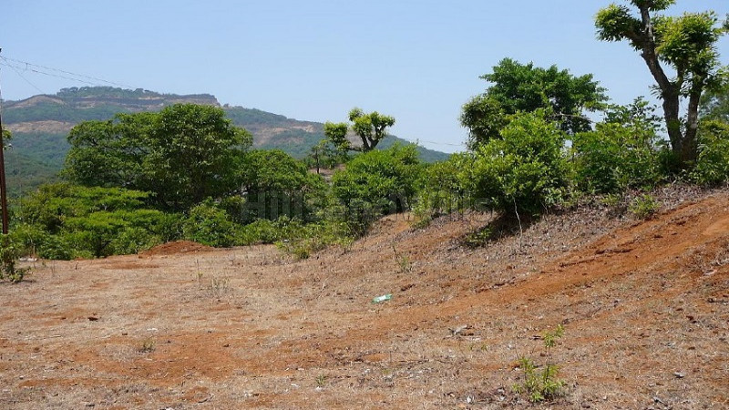 ₹2.75 Cr | 55,000 sq.ft. commercial land  for sale in wada, kumbhroshi mahabaleshwar