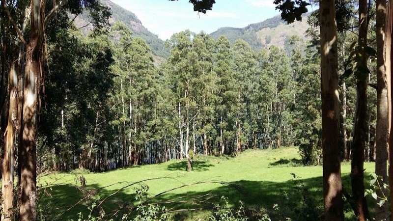 ₹2.30 Cr | 2.31 acres agriculture land for sale  in vattavada munnar